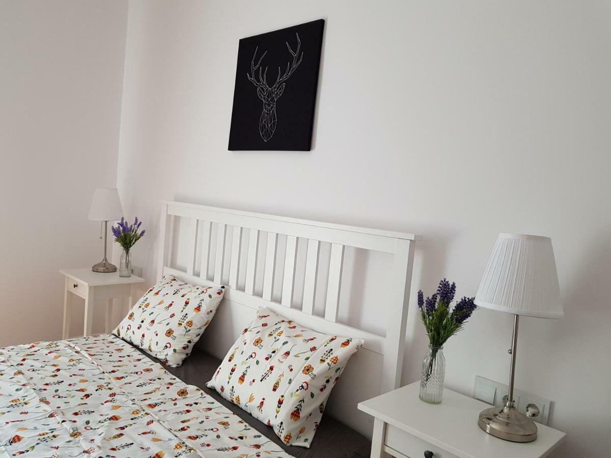 Oberiter Apartments - Center Of Zagreb, Fast Wifi, Ac, Kitchen, Parking Kültér fotó